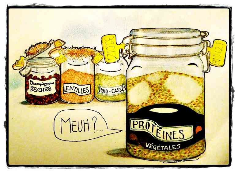 Illustration de l'article