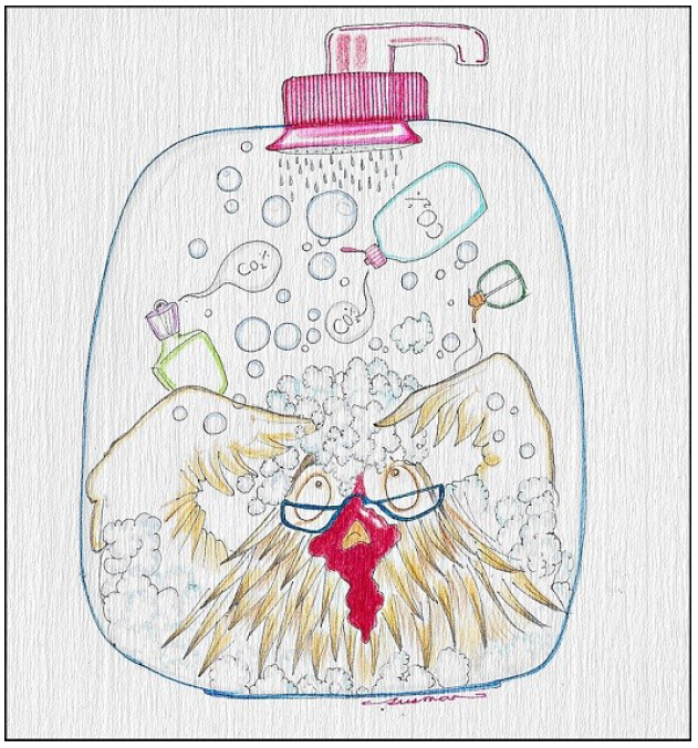 Illustration de l'article